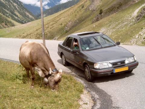 Ford Sierra 2.0i CLX (1991)