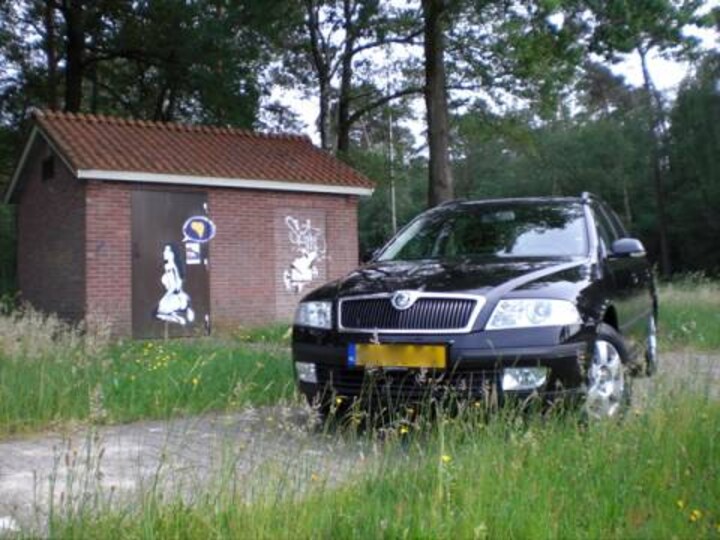 Skoda Octavia Combi 1.9 TDI Elegance (2008)