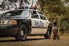 Ford Crown Victoria Police Interceptor (2000)