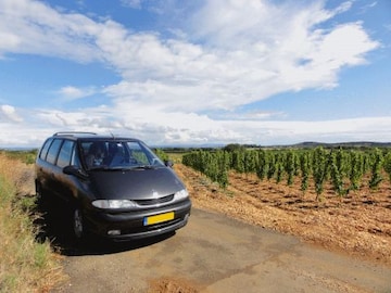 Renault Espace 2.0 16V Privilege (2000)