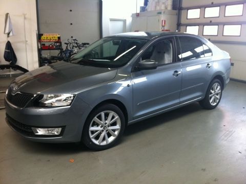 Skoda Rapid 1.2 TSI 85pk Greentech Elegance Businessline (2013)