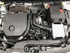 Mercedes-Benz A 200 Business Solution (2019)