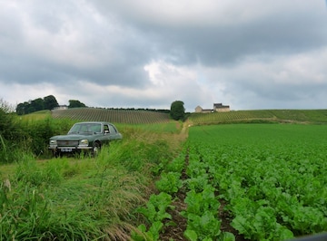 Peugeot 504 GLD (1974)