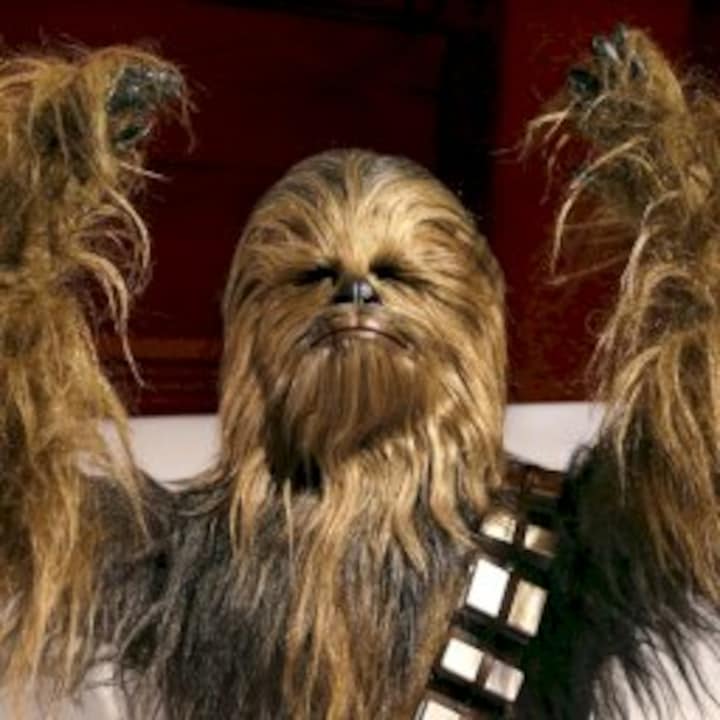 Chewy