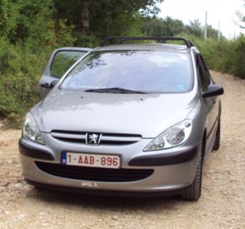 Peugeot 307 XR 1.4 (2003)