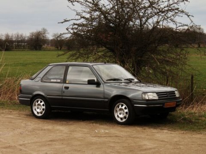 Peugeot 309 XL 1.1i