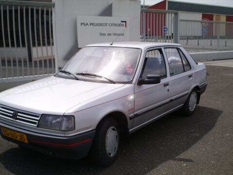 Peugeot 309 GL 1.3 Profil (1988)