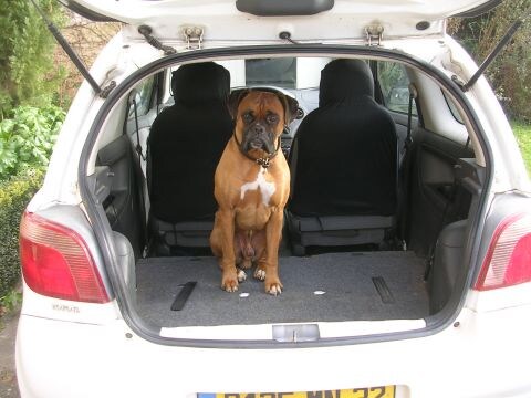 Toyota Yaris 1.3 16v VVT-i Linea Sol (2000)