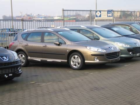 Peugeot 407 SW Premium 1.6 HDiF 16V (2007)