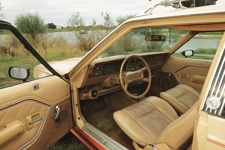 AMC Eagle