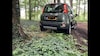 Fiat Panda TwinAir Turbo 85 4x4 Climbing (2014)