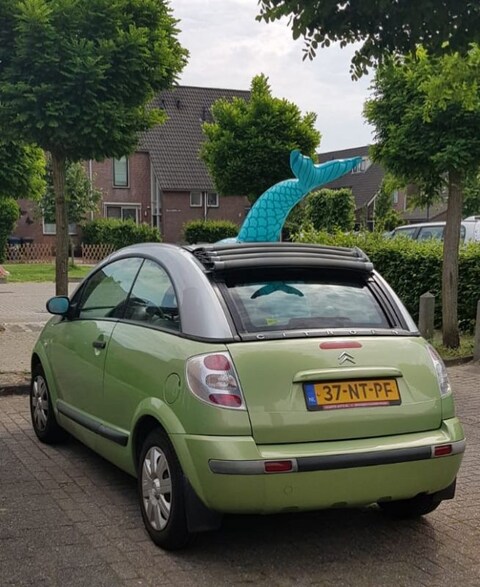 Citroën C3 Pluriel 1.4