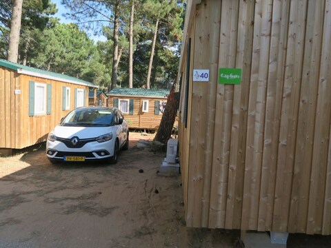 Renault Grand Scénic dCi 110 Intens