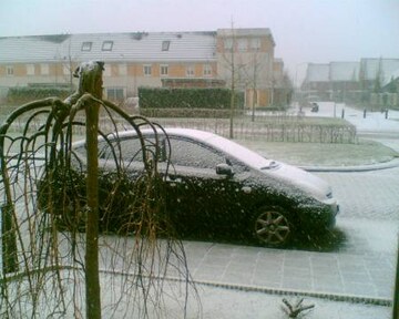 Toyota Prius THSD Business Edition (2005)