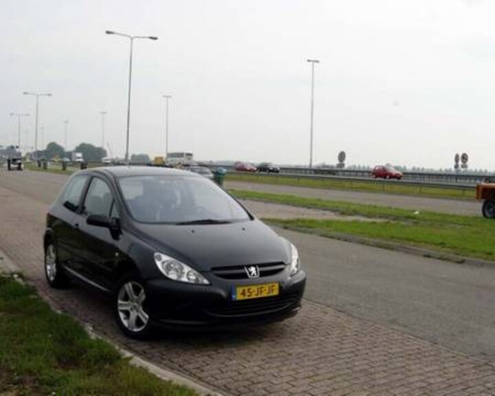 Peugeot 307 XS 2.0 16V (2002)