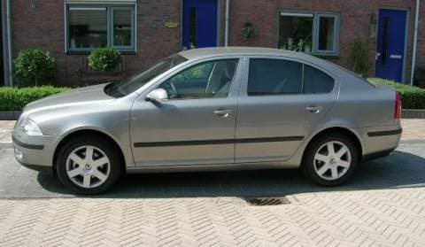 Skoda Octavia 1.9 TDI Business Edition (2007)