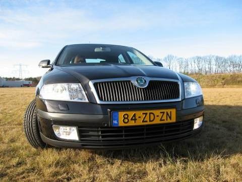 Skoda Octavia 1.9 TDI Elegance (2008)