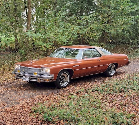 Buick Le Sabre