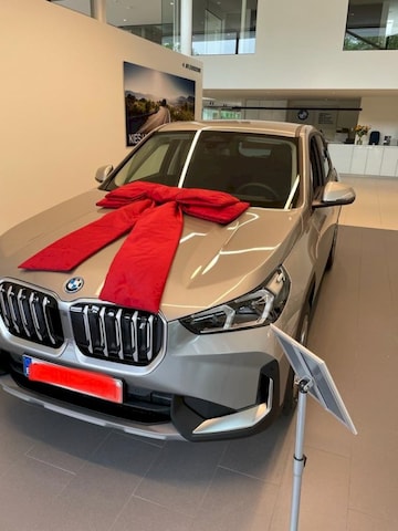 BMW iX1 xDrive30 (2023)