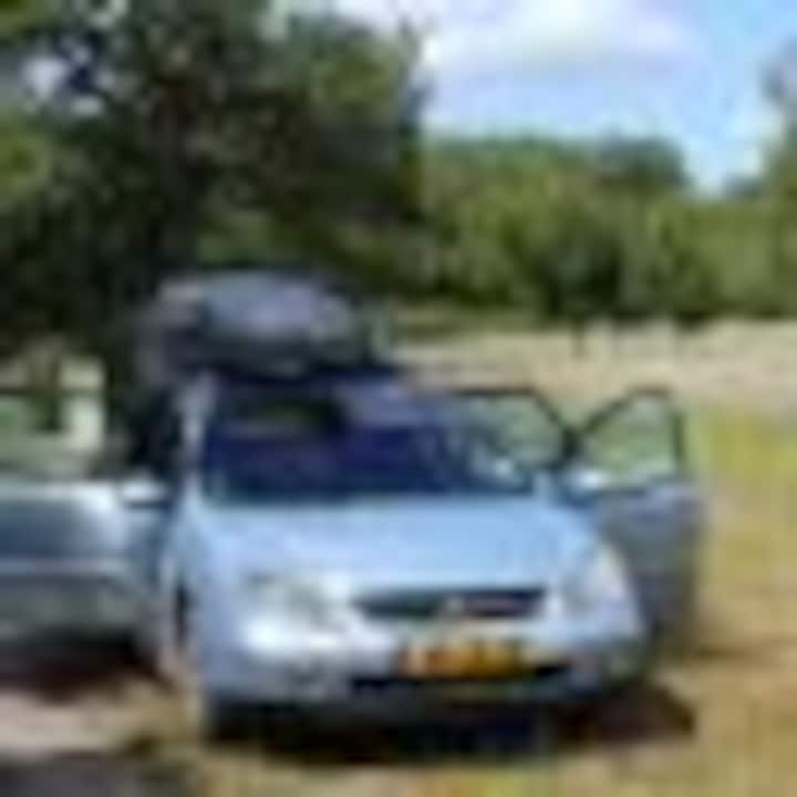 Boerbeest