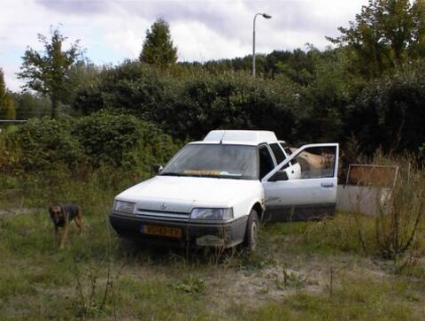 Renault 21 Nevada TD (1992)