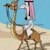Sheikh Ali