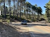 Volkswagen ID.3 58kWh 1st Plus (2020)