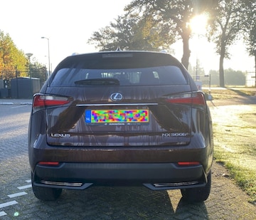 Lexus NX 300h AWD President Line (2016)