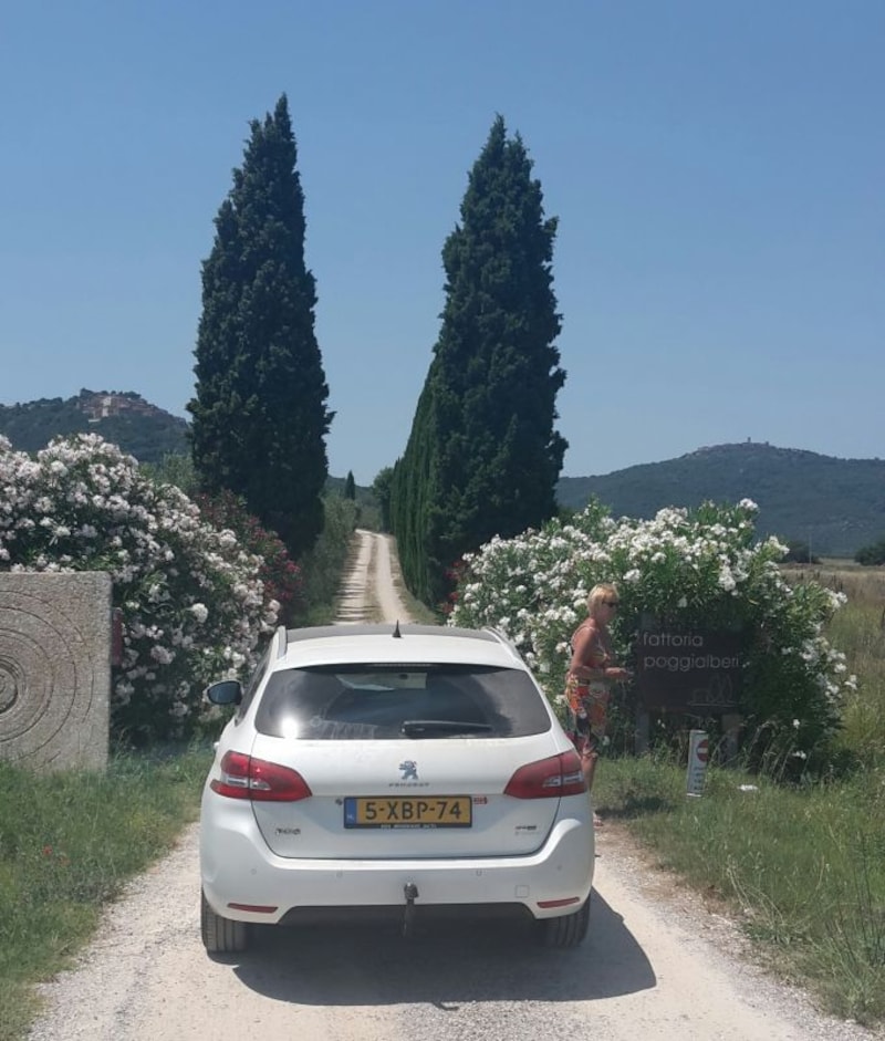 Peugeot 308 SW Allure 2.0 BlueHDi (2014)