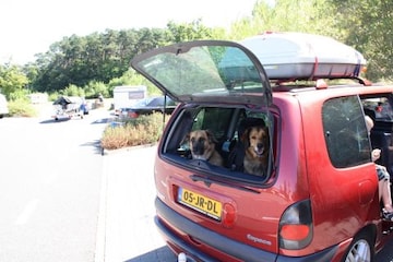 Renault Espace 2.0 16V Expression (2002)