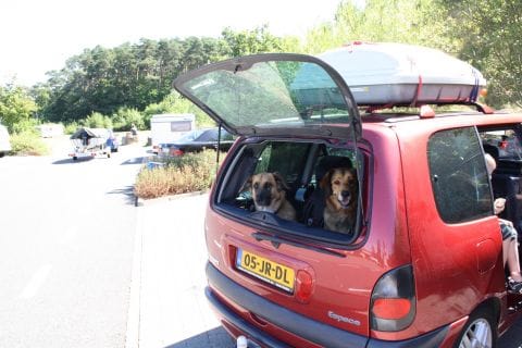 Renault Espace 2.0 16V Expression (2002)