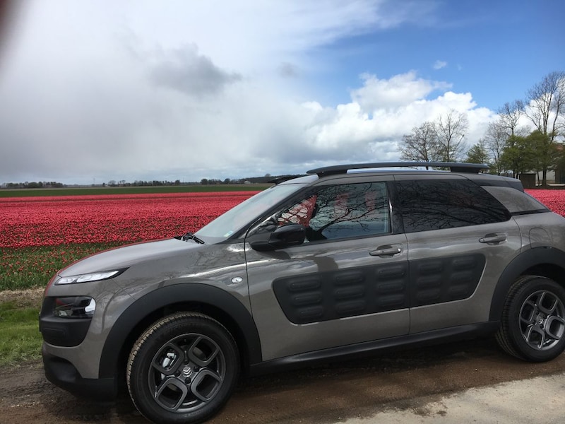Citroën C4 Cactus PureTech 82 Shine (2016)