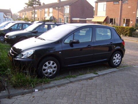 Peugeot 307 XS 1.6 16V (2003)