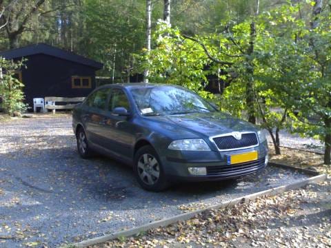 Skoda Octavia 2.0 TDI Elegance (2006)