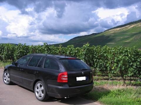 Skoda Octavia Combi 2.0 TDI Elegance (2006)