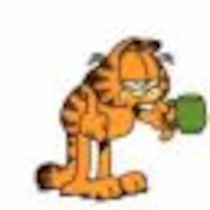 Garfield 1974