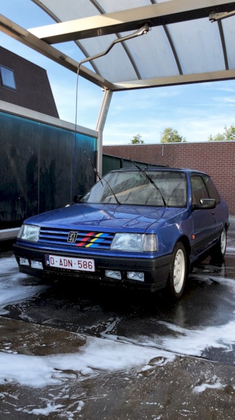 Peugeot 309 GTI 16