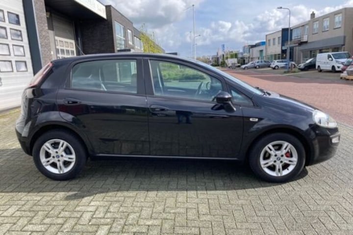 Fiat Punto used car