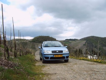 Fiat Punto 1.3 JTD 16v Dynamic (2004)