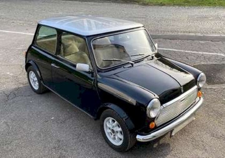 MINI 1000