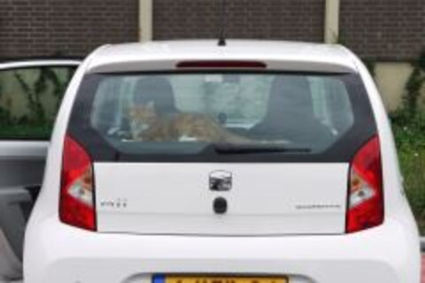 Seat Mii 1.0 60pk Ecomotive Style