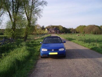 Volkswagen Golf Cabriolet 1.9 TDI 90pk Trendline (1999)