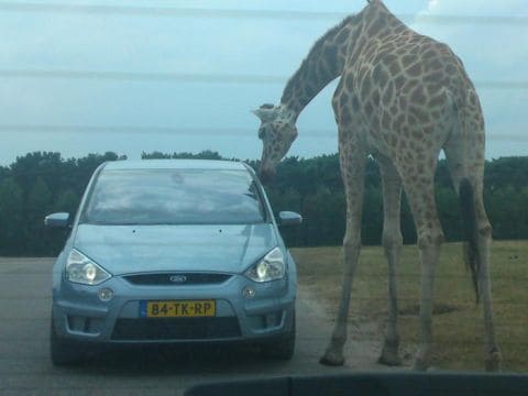 Ford S-MAX 2.0 16v (2006)