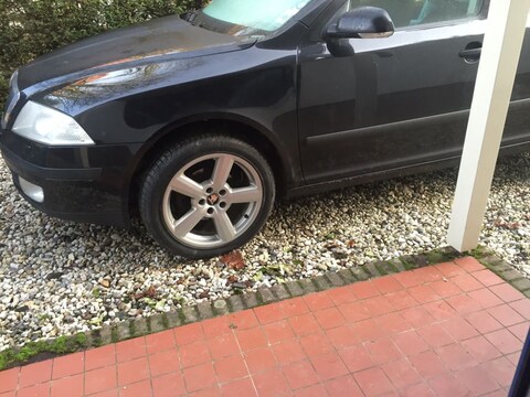 Skoda Octavia 1.9 TDI Elegance (2007)