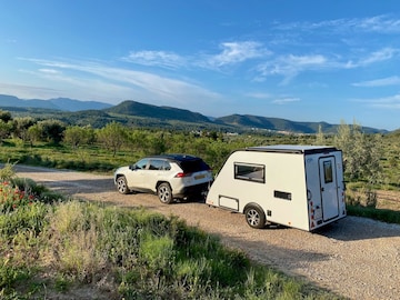 Toyota RAV4 2.5 Plug-in Hybrid AWD Bi-Tone (2021)
