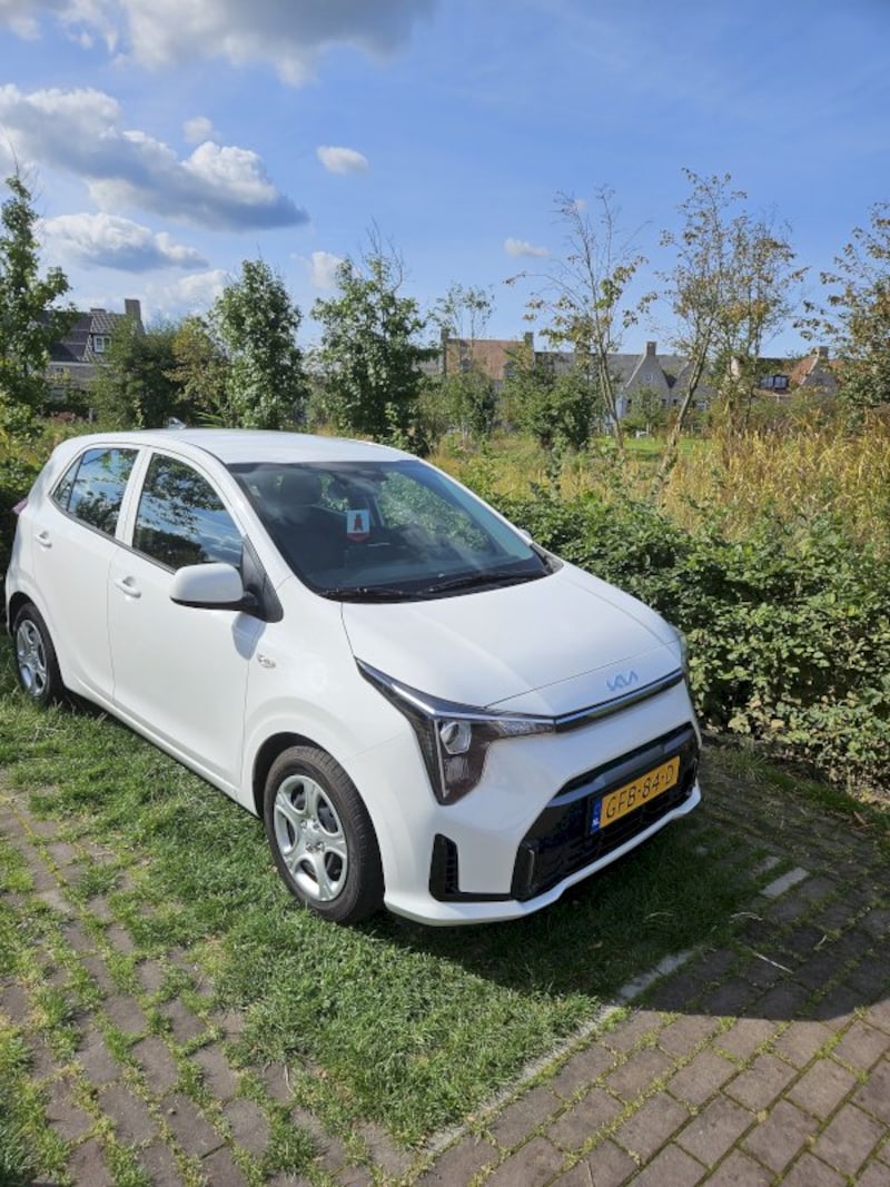 Kia Picanto 1.0 DPi DynamicLine 4-zits (2024)