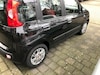 Fiat Panda 1.2 69 Edizione Cool (2015)