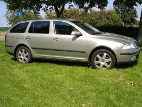 Skoda Octavia Combi 2.0 TDI Business Edition (2006)