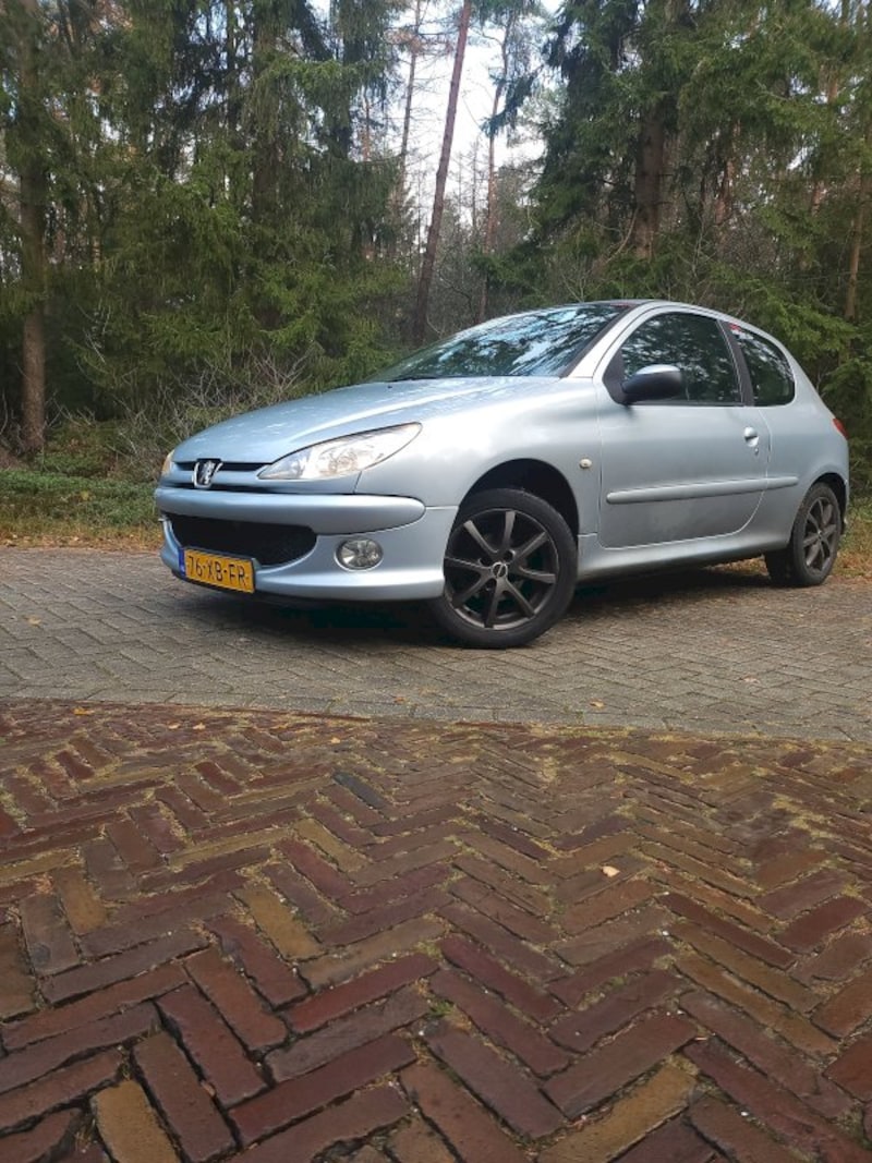 Peugeot 206 Air-line 1.4 (2007)