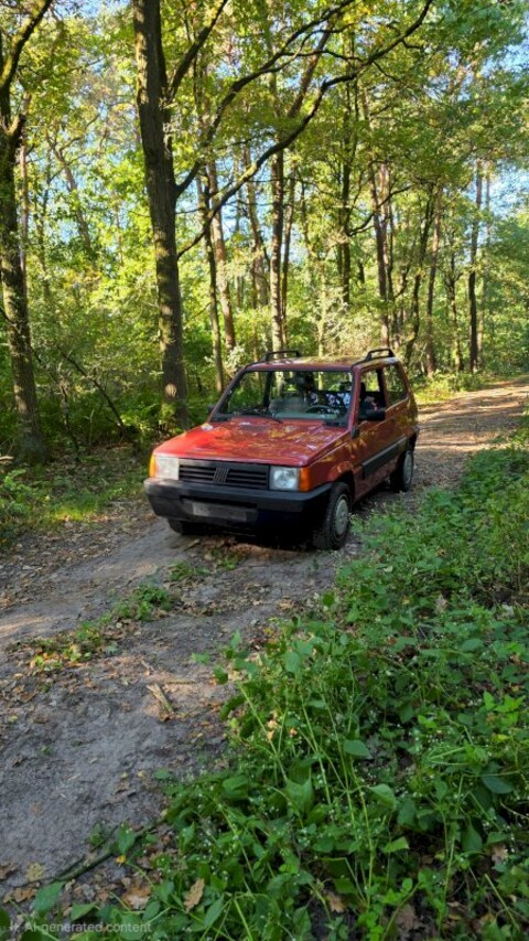 Fiat Panda 1.1 Hobby